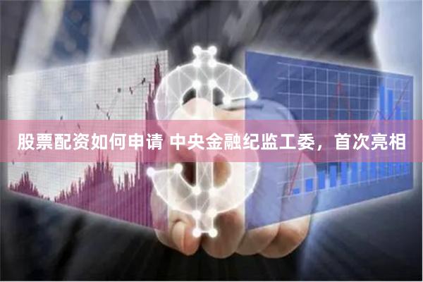 股票配资如何申请 中央金融纪监工委，首次亮相