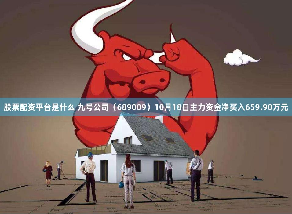 股票配资平台是什么 九号公司（689009）10月18日主力