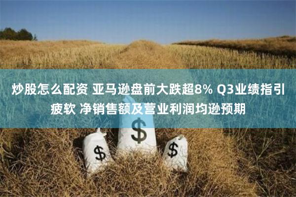 炒股怎么配资 亚马逊盘前大跌超8% Q3业绩指引疲软 净销售额及营业利润均逊预期