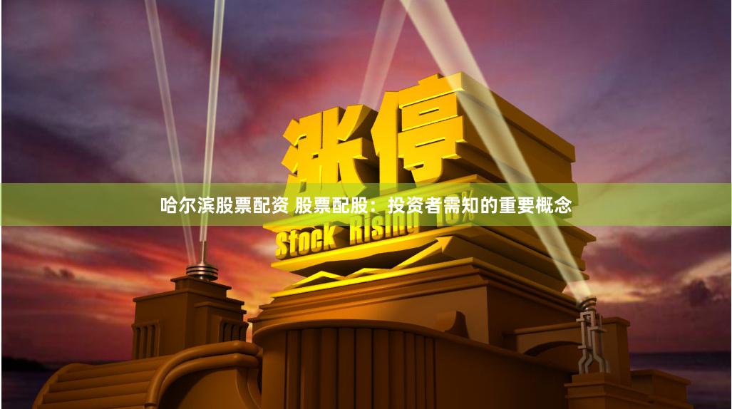 哈尔滨股票配资 股票配股：投资者需知的重要概念